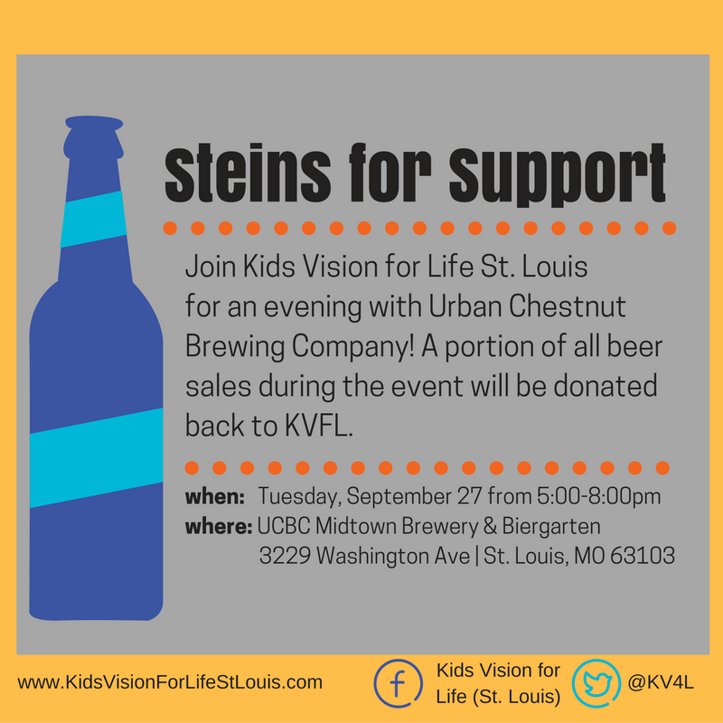 steins-for-support